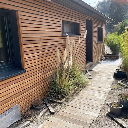 Joli Logement Avec Terrasse La Cigale 6 A 8 Personnes Orbey Exterior photo